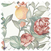 Clemence, Orange - Roller Blind